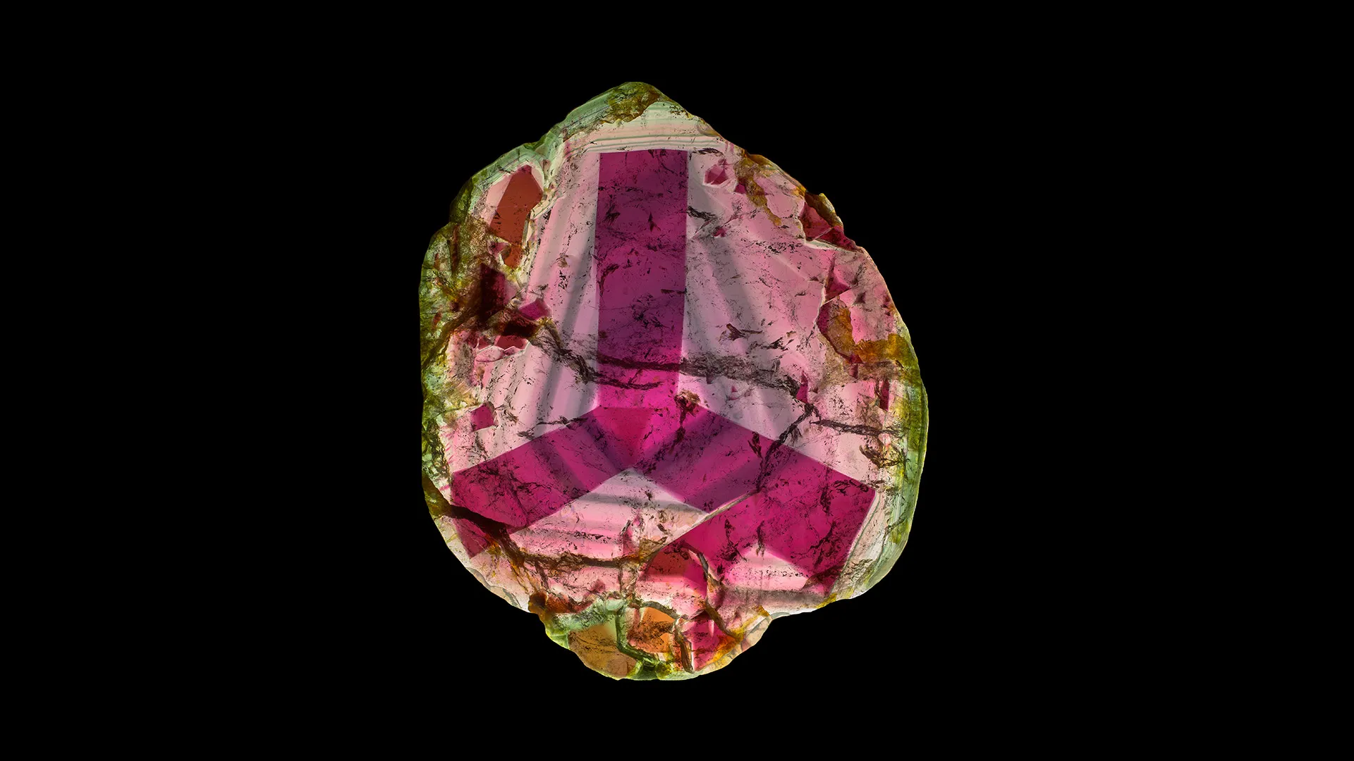Liddicoatite - image 1