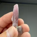 Liddicoatite - image 2