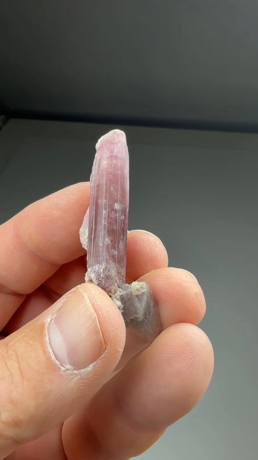 Liddicoatite - image 2