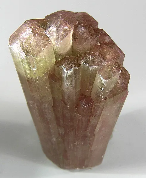 Liddicoatite image