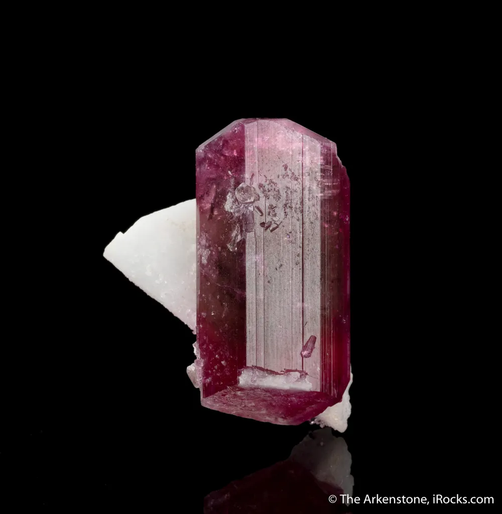 Liddicoatite, Albite - image 3
