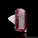 Liddicoatite, Albite - image 3