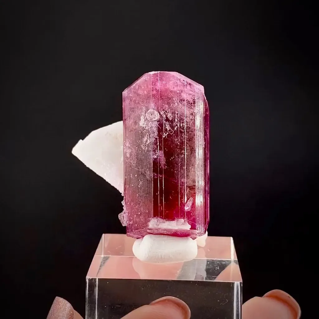 Liddicoatite, Albite image