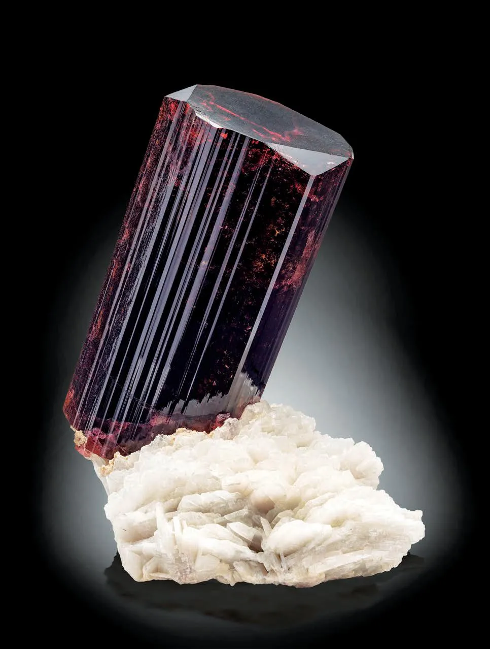 Liddicoatite, Albite - image 1