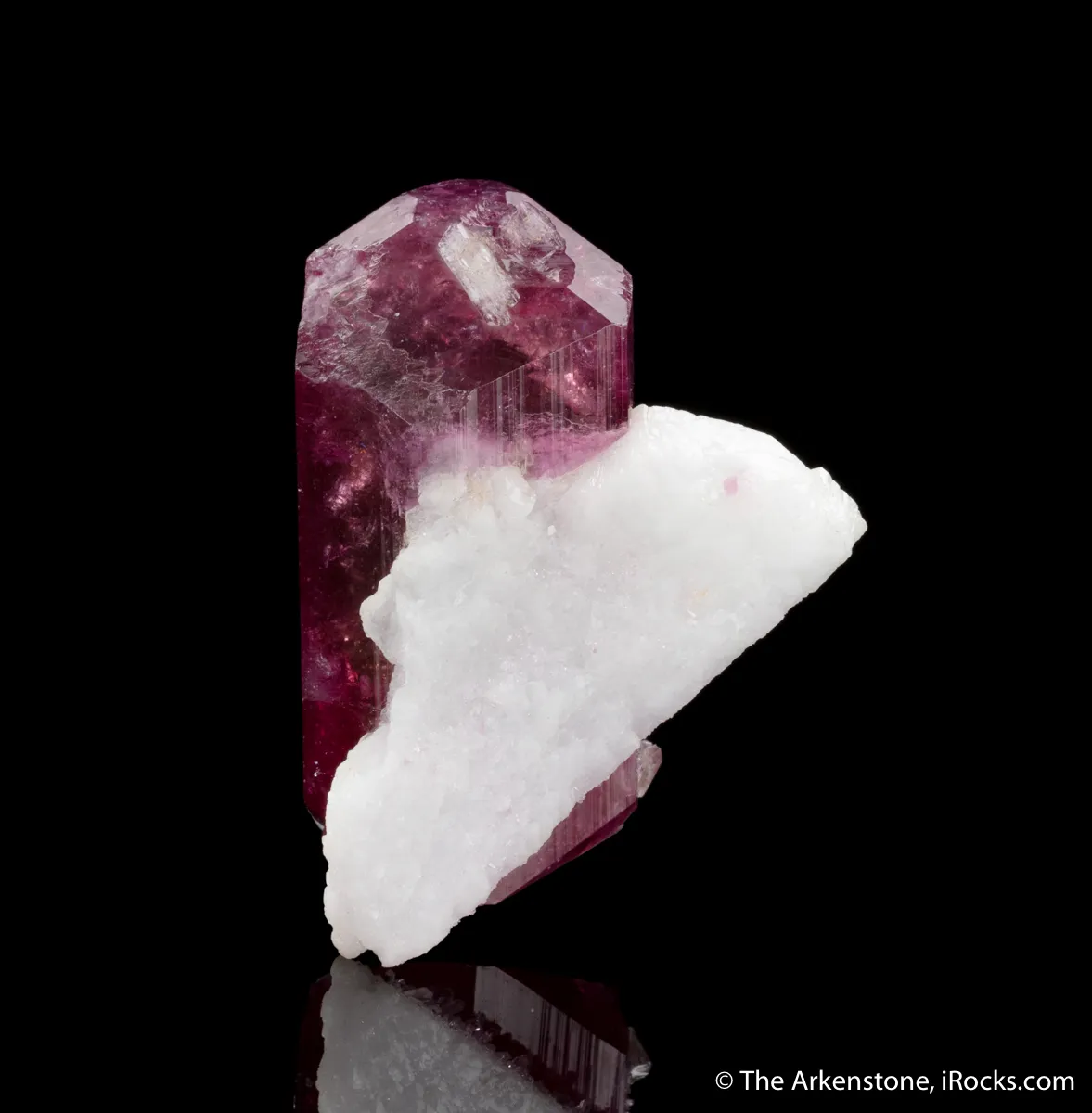 Liddicoatite, Albite - image 4