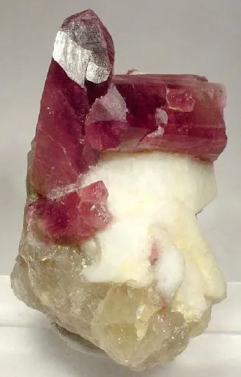 Liddicoatite, Albite, Quartz image