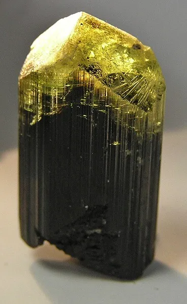 Liddicoatite image