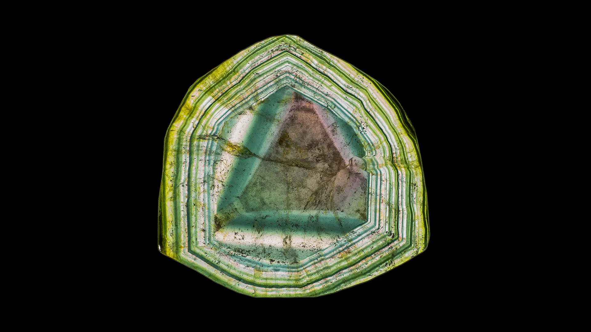 Liddicoatite - image 1