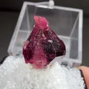 Liddicoatite - image 2