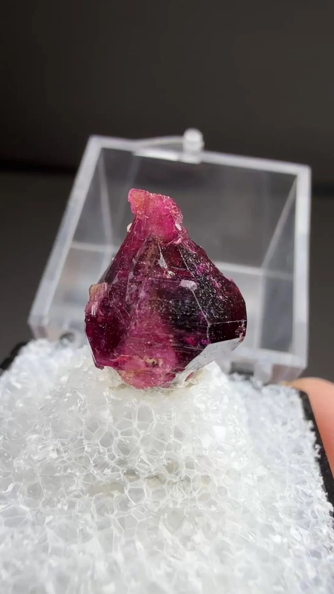 Liddicoatite - image 2