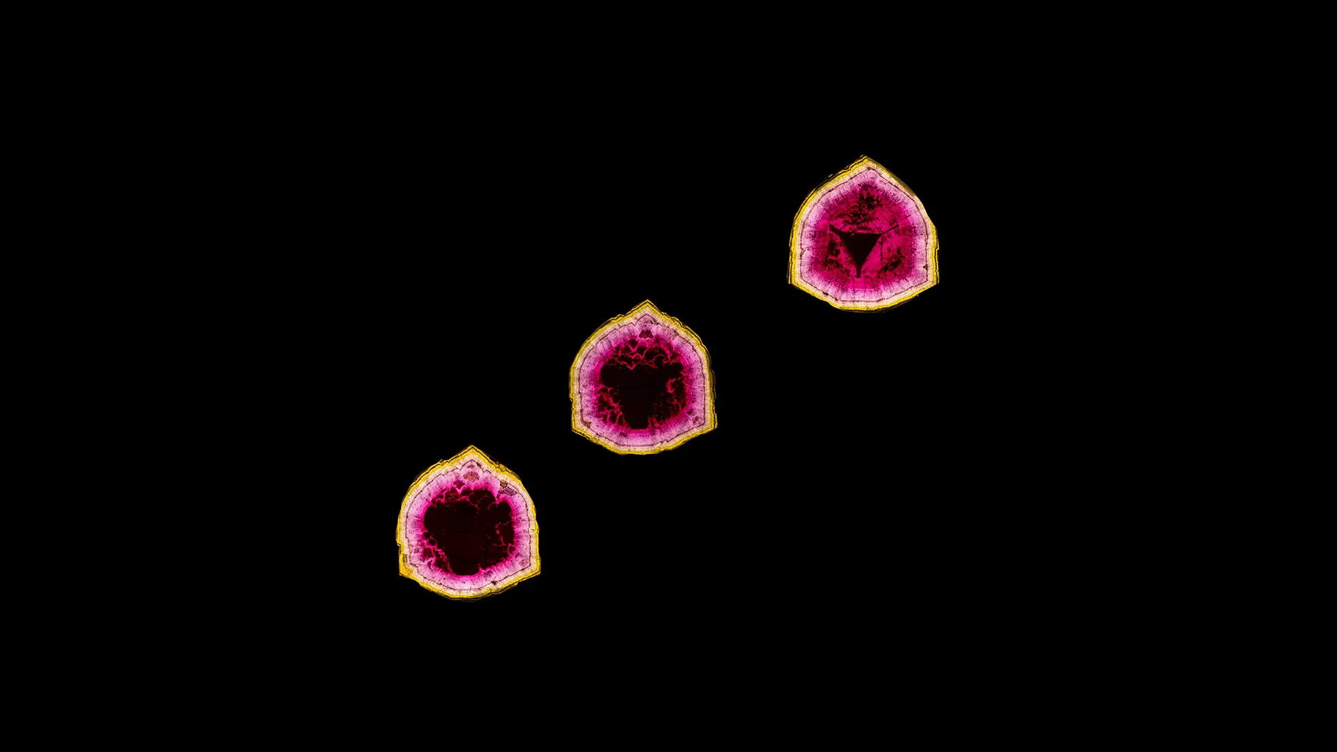 Liddicoatite - image 1