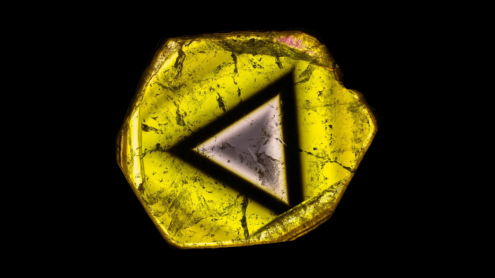 Liddicoatite - image 1