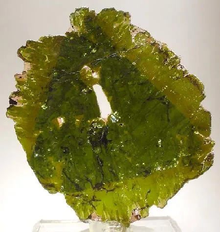 Liddicoatite image