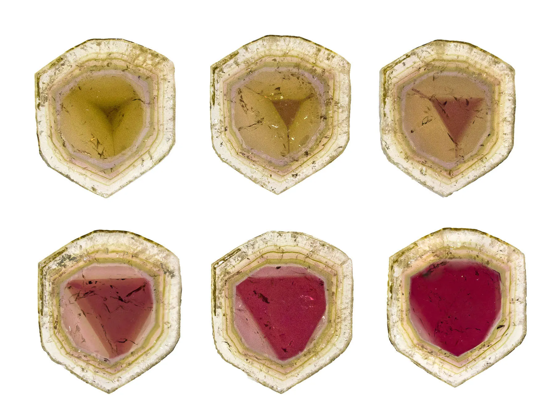 Liddicoatite - image 3