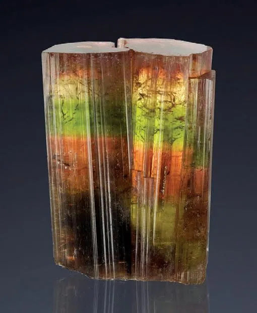 Liddicoatite image