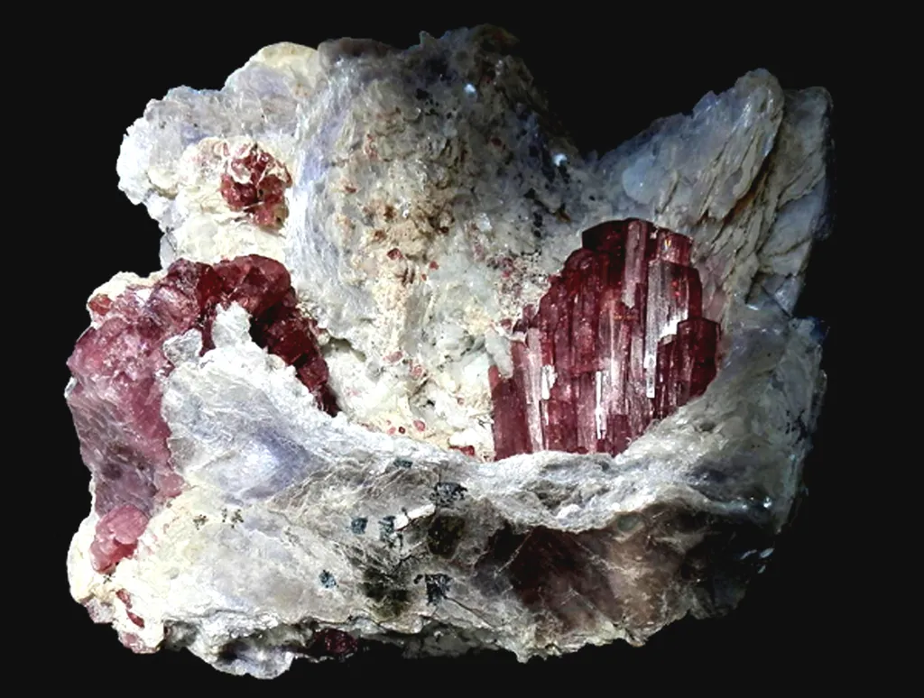 Liddicoatite dans sa gangue de Mica muscovite en grandes plaques image