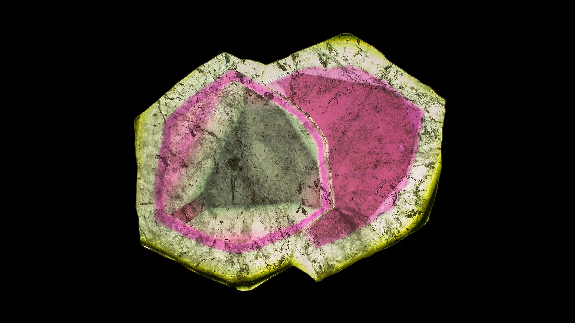 Liddicoatite - image 1
