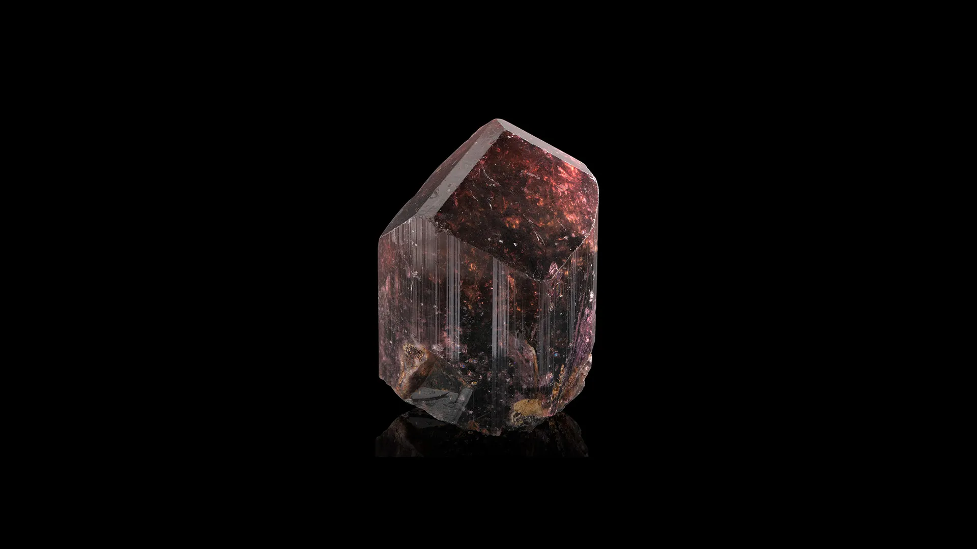 Liddicoatite - image 1