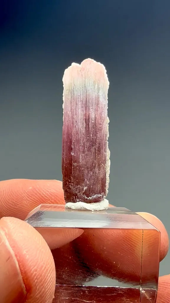 Liddicoatite-Elbaite - image 2