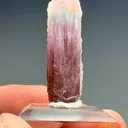 Liddicoatite-Elbaite - image 2