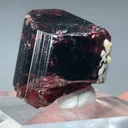 Liddicoatite-Elbaite - image 2