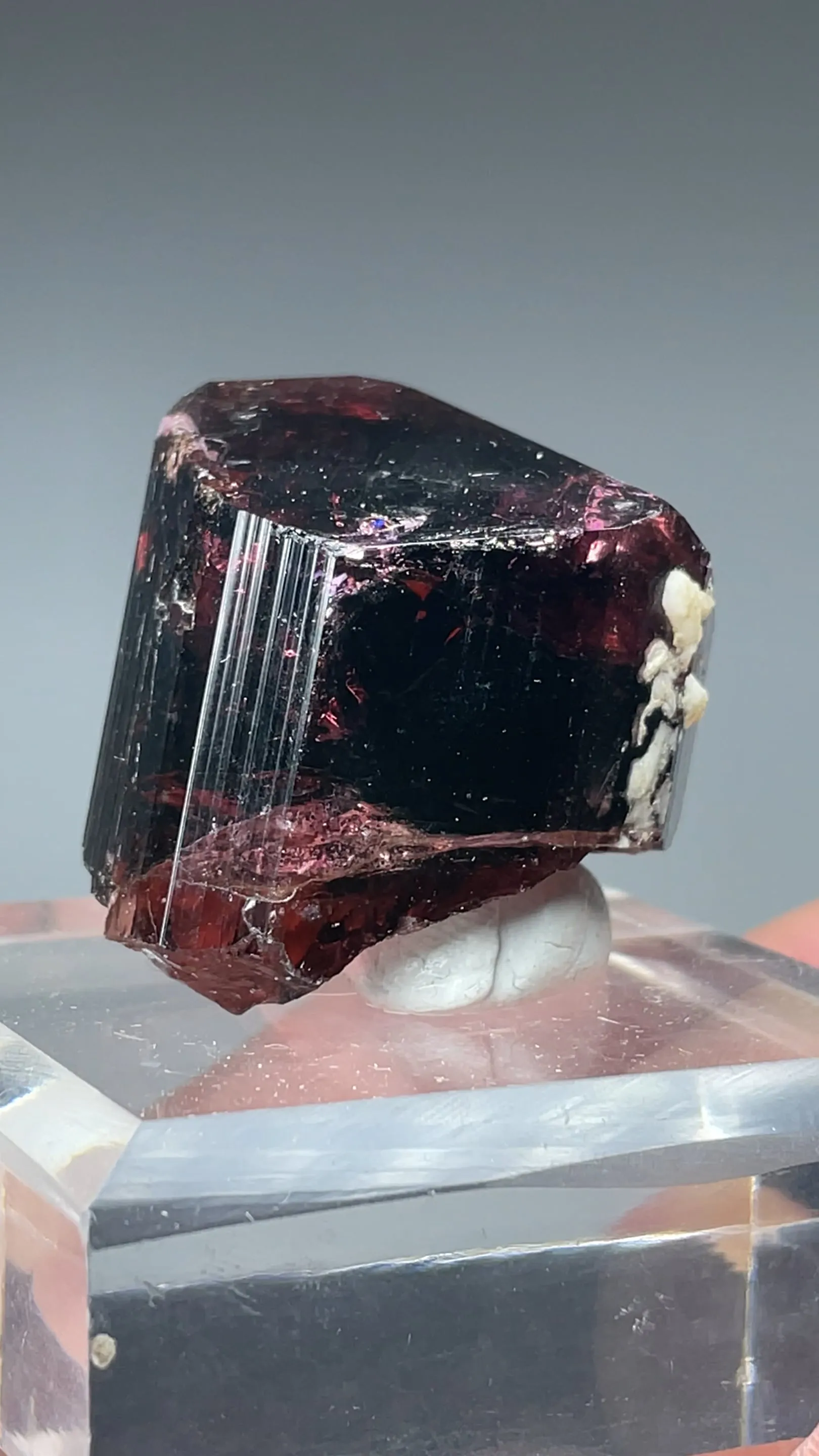 Liddicoatite-Elbaite - image 2