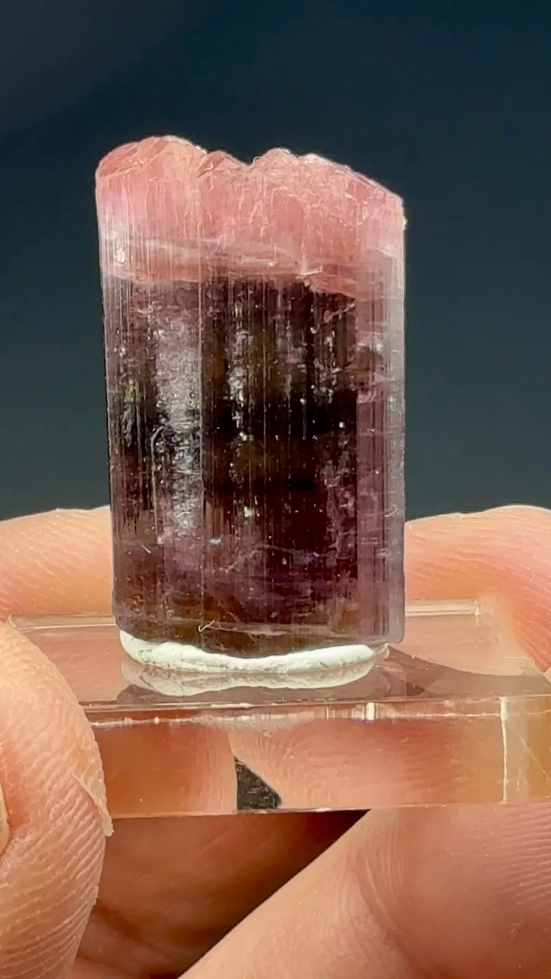 Liddicoatite-Elbaite - image 2