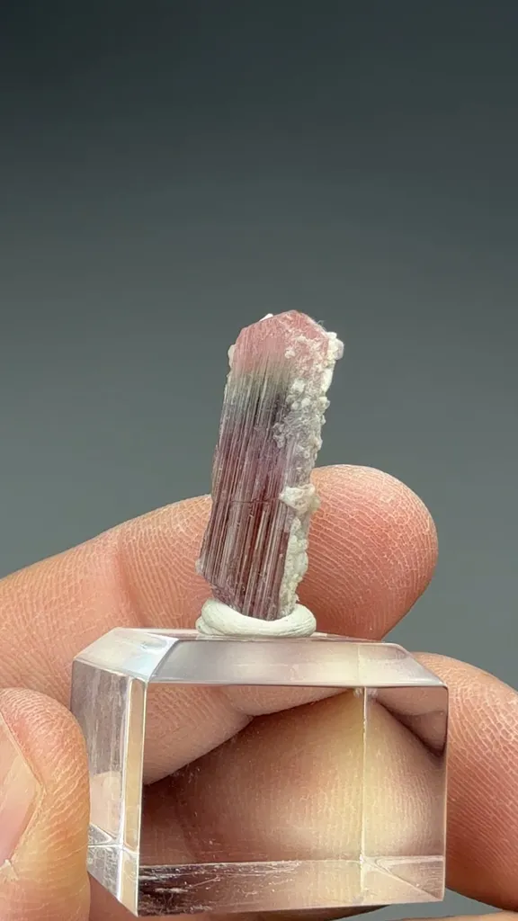 Liddicoatite-Elbaite - image 2