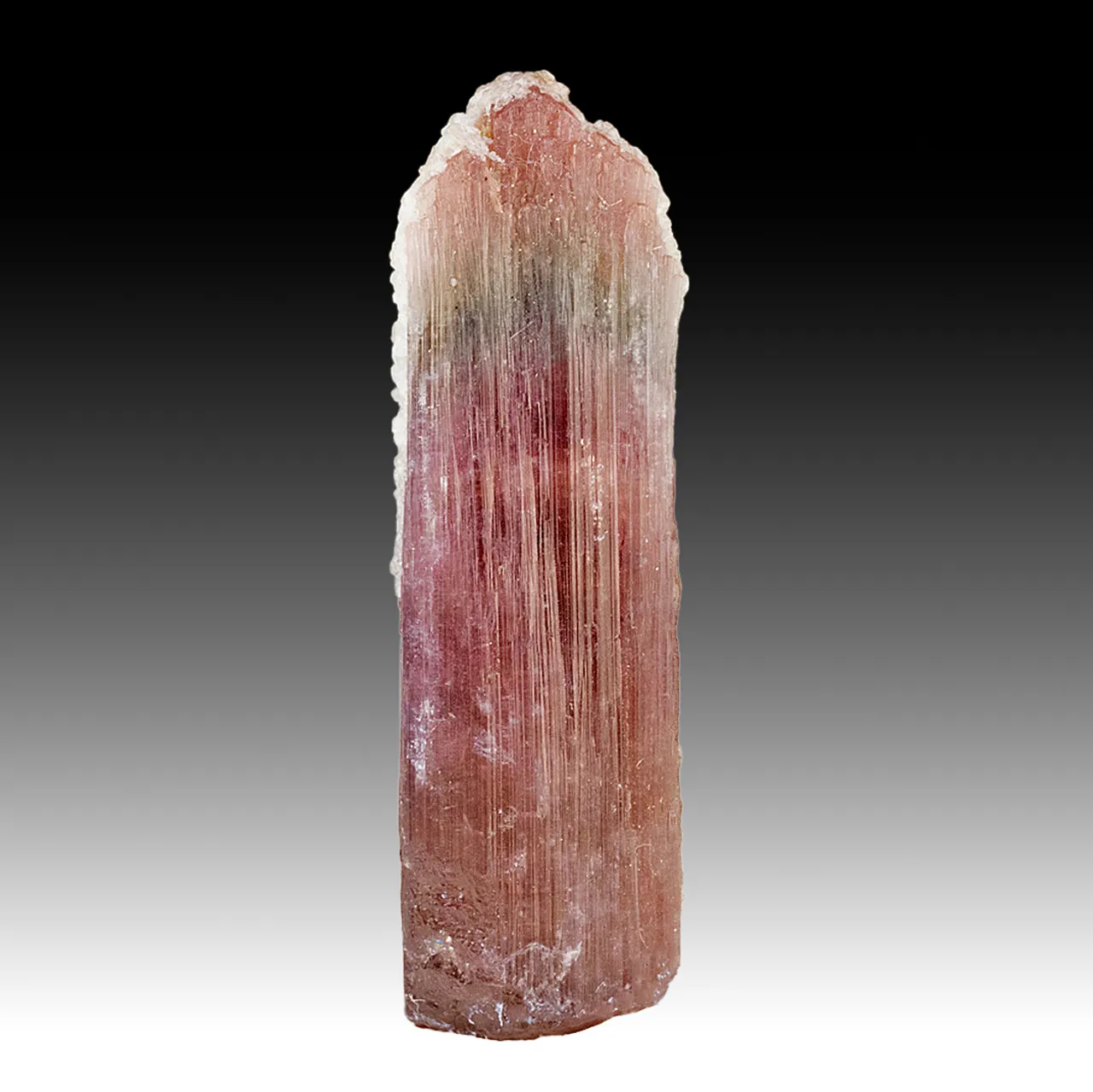 Liddicoatite-Elbaite - image 1