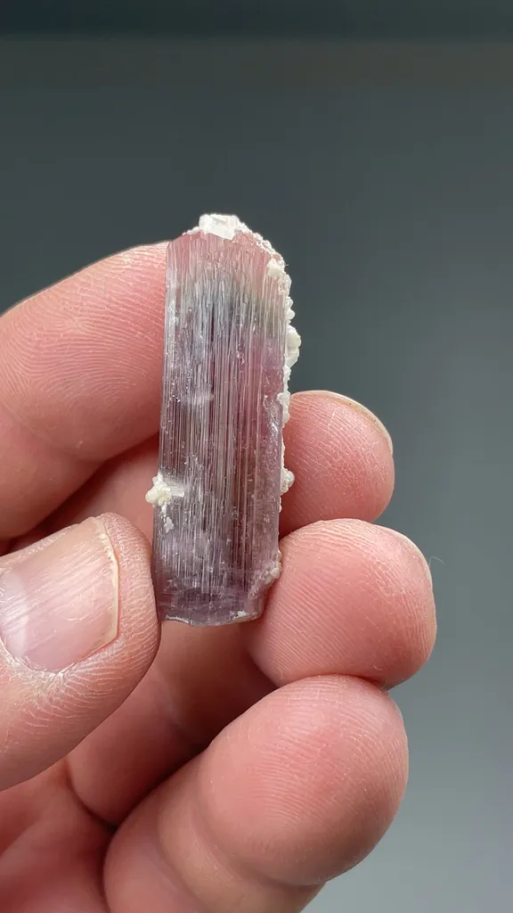 Liddicoatite-Elbaite - image 2