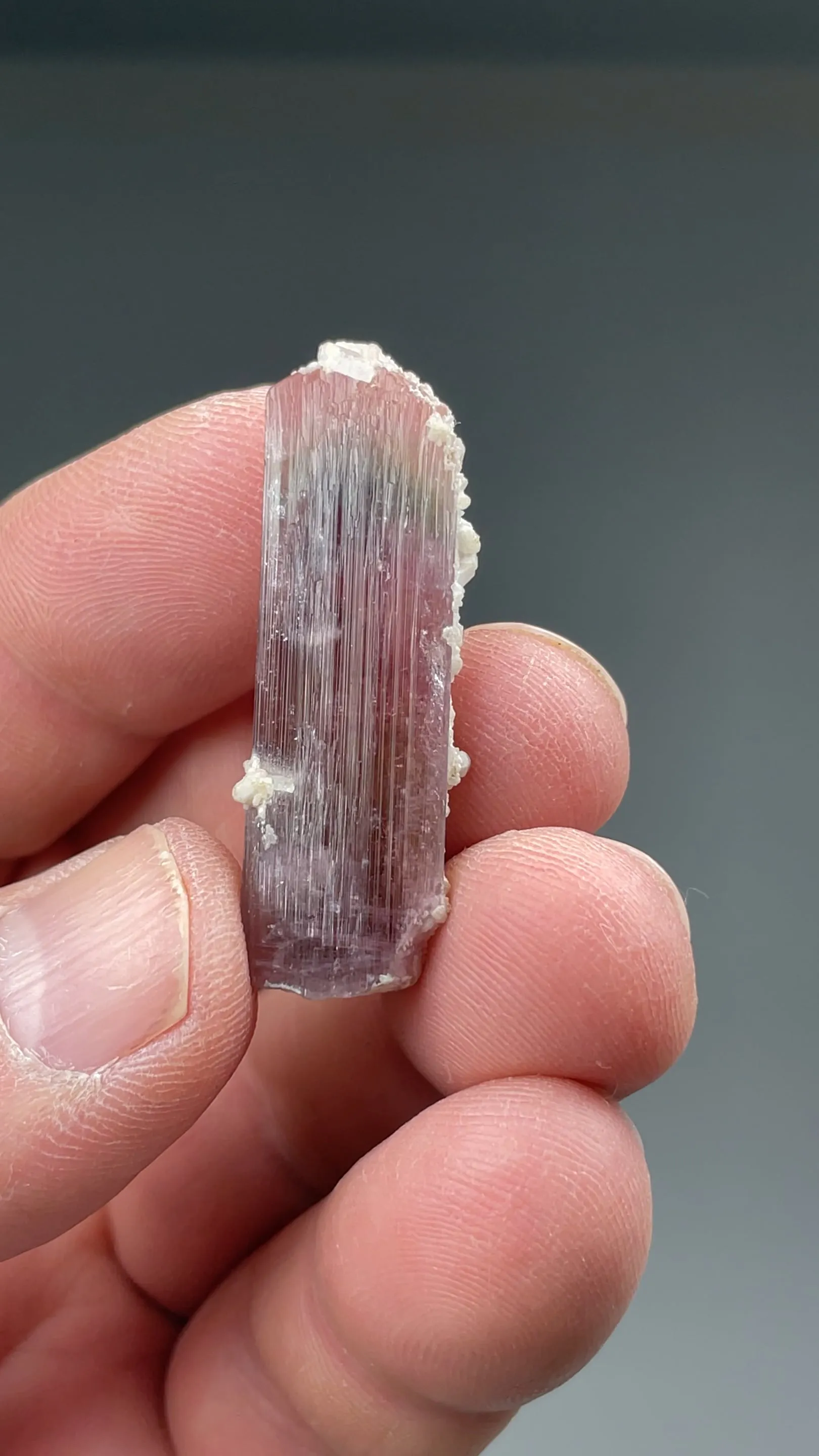 Liddicoatite-Elbaite - image 2