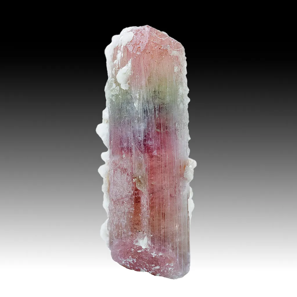 Liddicoatite-Elbaite image