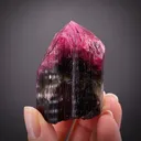 Liddicoatite-Elbaite Tourmaline - image 1