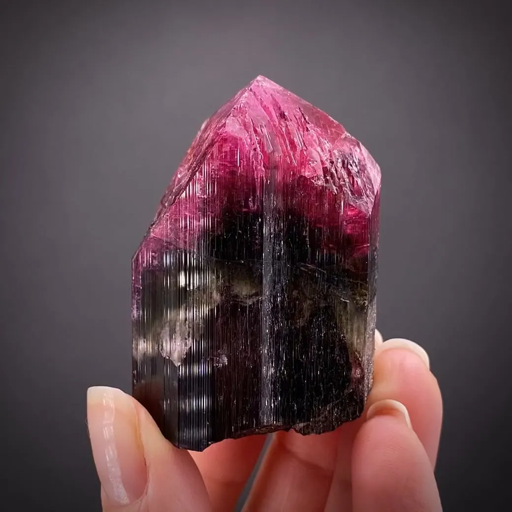 Liddicoatite-Elbaite Tourmaline - image 1