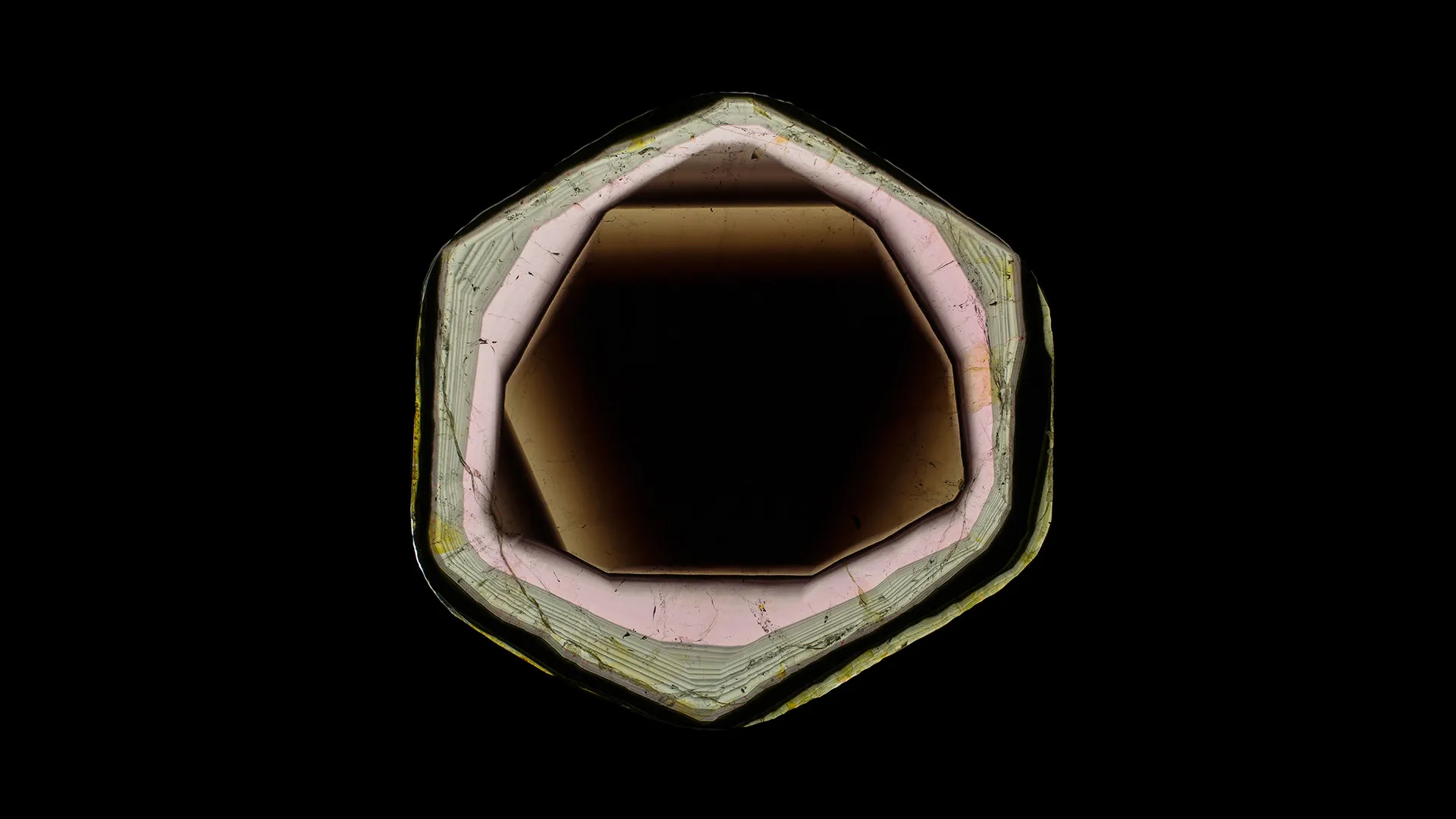 Liddicoatite - image 1