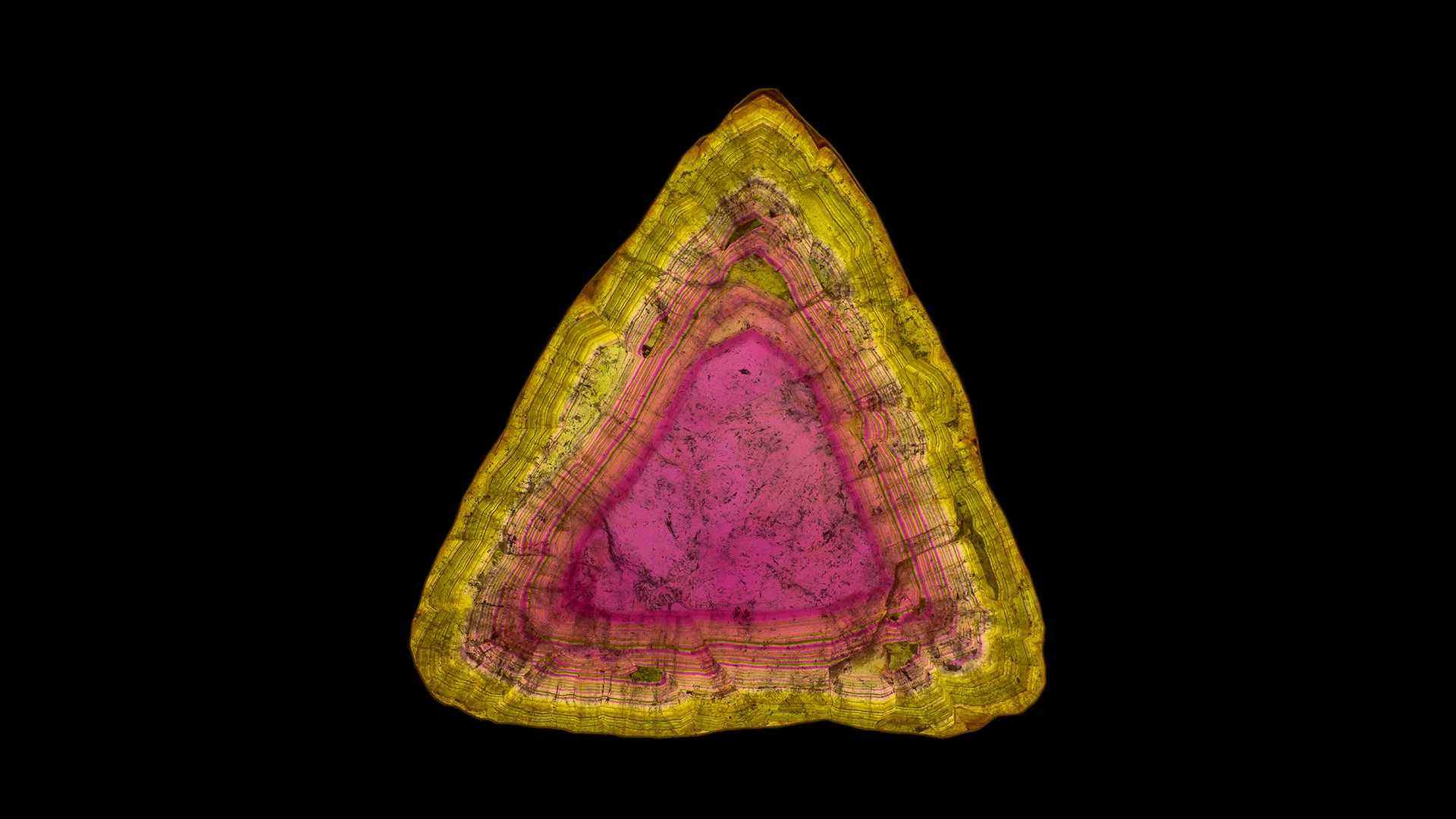 Liddicoatite - image 1