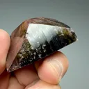 Liddicoatite from Anjanabononoia, Vakinankaratra, Madagascar - image 2