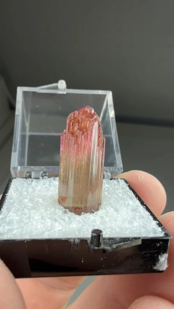 Liddicoatite from Anjanabononoia, Vakinankaratra, Madagascar - image 2