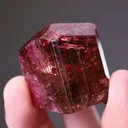 Liddicoatite from Anjanabononoia, Vakinankaratra, Madagascar - image 1