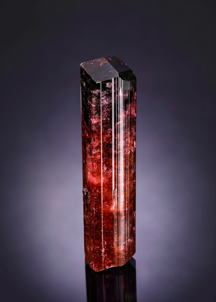 Liddicoatite from Camp Robin area, Madagascar image