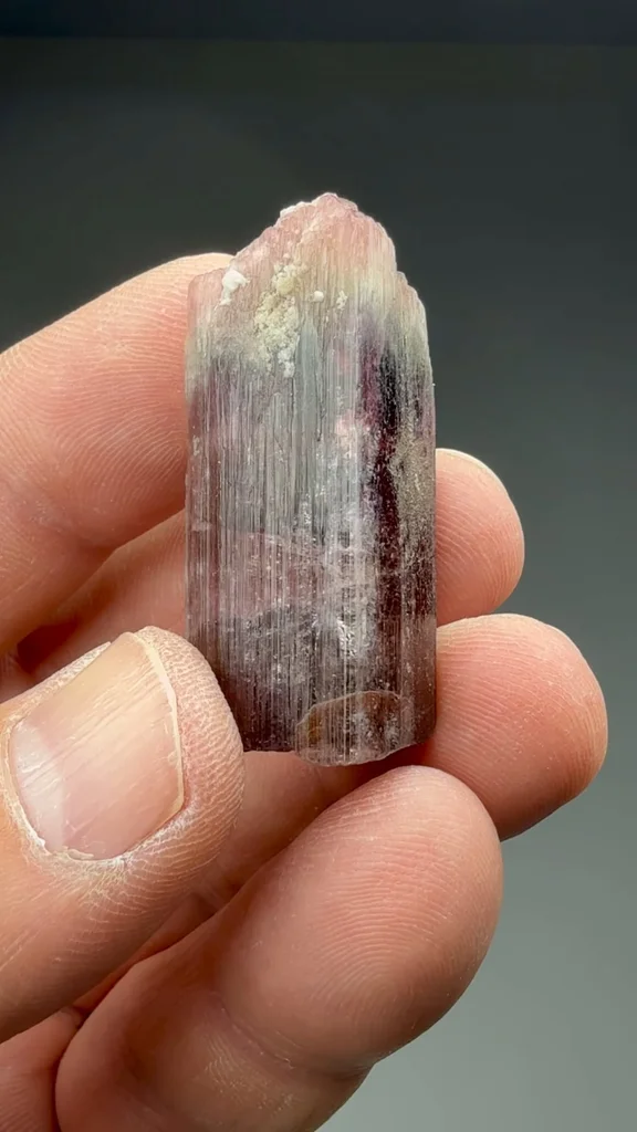 Liddicoatite from Haute Matsiatra, Madagascar - image 2