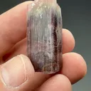 Liddicoatite from Haute Matsiatra, Madagascar - image 2