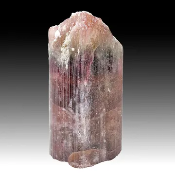 Liddicoatite from Haute Matsiatra, Madagascar