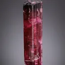 Liddicoatite from Madagascar, Camp Robin area - image 2