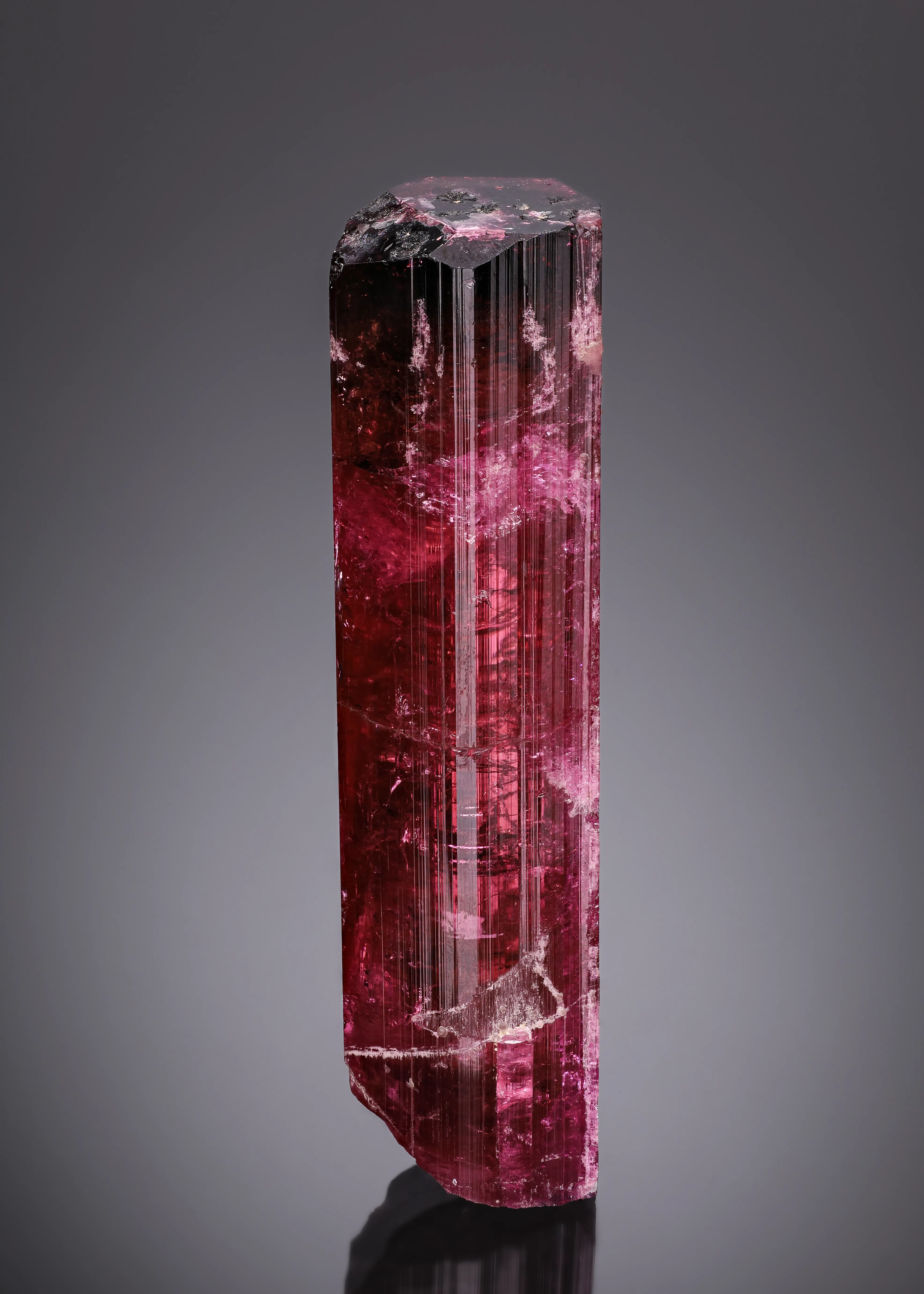 Liddicoatite from Madagascar, Camp Robin area - image 2