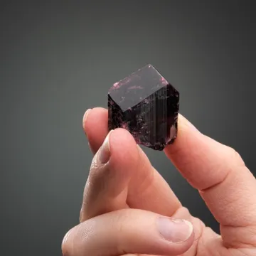 Liddicoatite from Madagascar