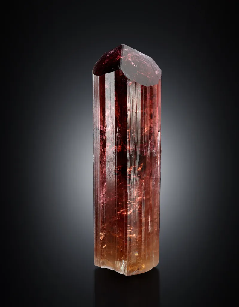 Liddicoatite from Madagascar, Vakinankaratra, Anjanabononoia image