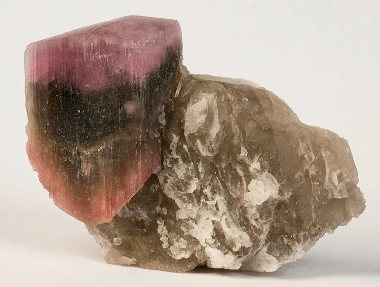 Liddicoatite, Quartz (Var: Smoky Quartz) image