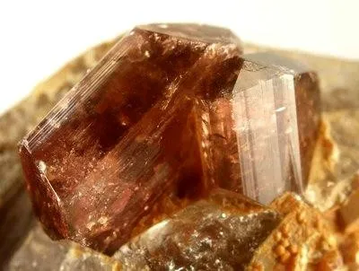 Liddicoatite, Quartz (Var: Smoky Quartz) - image 2