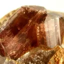 Liddicoatite, Quartz (Var: Smoky Quartz) - image 2
